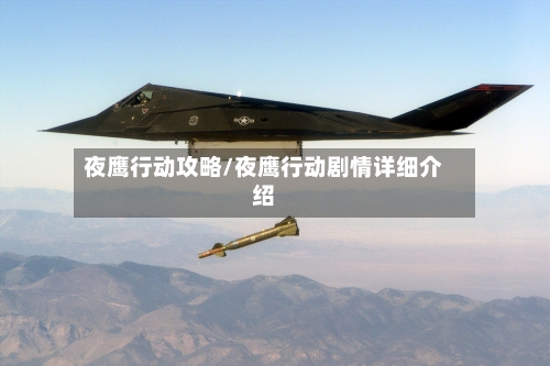 夜鹰行动攻略/夜鹰行动剧情详细介绍-第3张图片