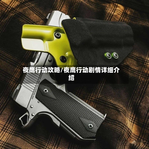 夜鹰行动攻略/夜鹰行动剧情详细介绍-第2张图片