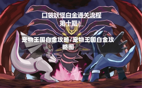 宠物王国白金攻略/宠物王国白金攻略图-第2张图片