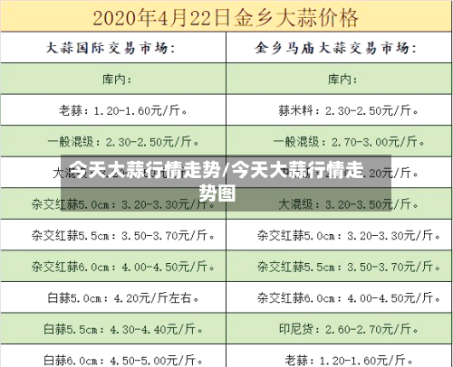 今天大蒜行情走势/今天大蒜行情走势图-第3张图片