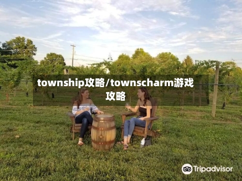 township攻略/townscharm游戏攻略