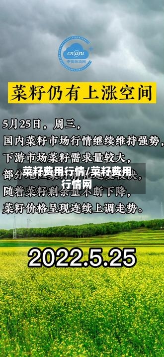 菜籽费用行情/菜籽费用行情网