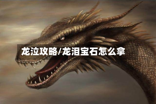 龙泣攻略/龙泪宝石怎么拿-第1张图片