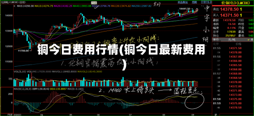 铜今日费用行情(铜今日最新费用)-第1张图片