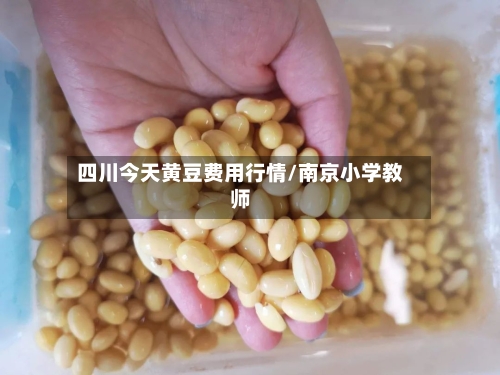 四川今天黄豆费用行情/南京小学教师