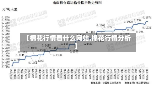 【棉花行情看什么网站,棉花行情分析】-第2张图片