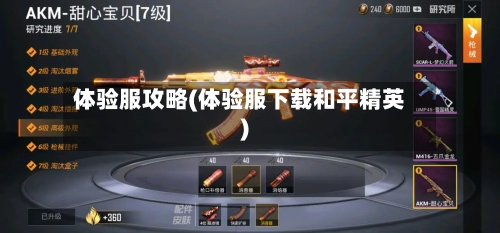 体验服攻略(体验服下载和平精英)-第2张图片