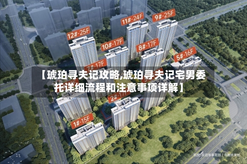 【琥珀寻夫记攻略,琥珀寻夫记宅男委托详细流程和注意事项详解】-第2张图片