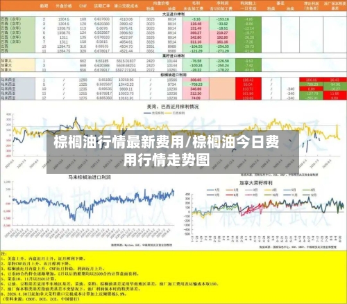 棕榈油行情最新费用/棕榈油今日费用行情走势图-第1张图片