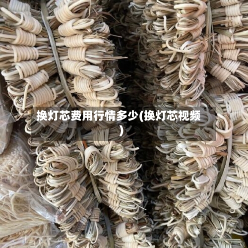 换灯芯费用行情多少(换灯芯视频)-第2张图片