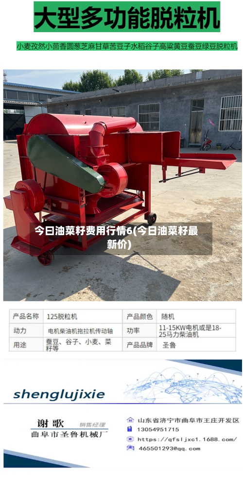 今曰油菜籽费用行情6(今日油菜籽最新价)