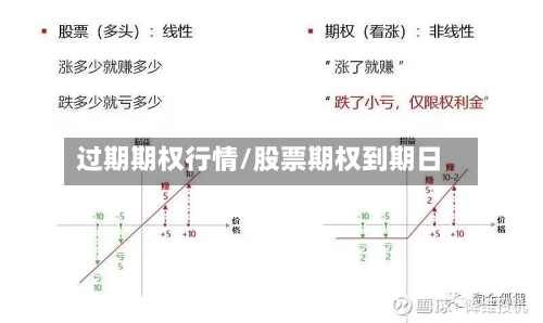 过期期权行情/股票期权到期日-第1张图片
