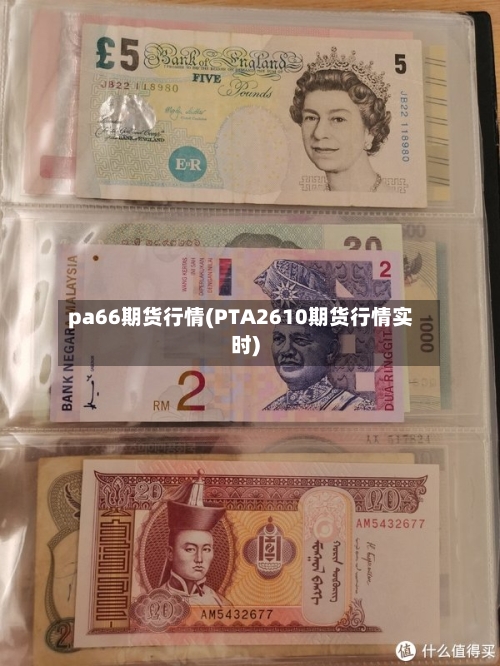 pa66期货行情(PTA2610期货行情实时)-第1张图片