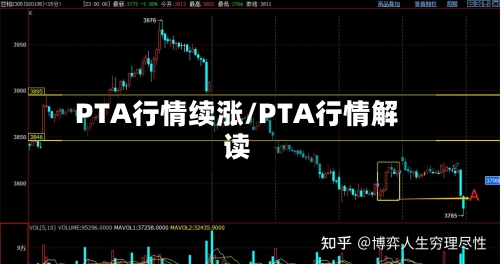 PTA行情续涨/PTA行情解读