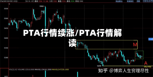 PTA行情续涨/PTA行情解读-第2张图片