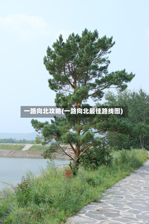 一路向北攻略(一路向北最佳路线图)-第1张图片
