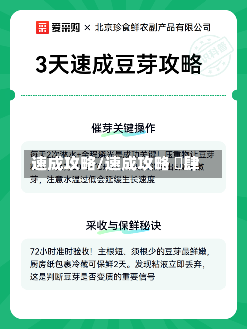 速成攻略/速成攻略 惗肆