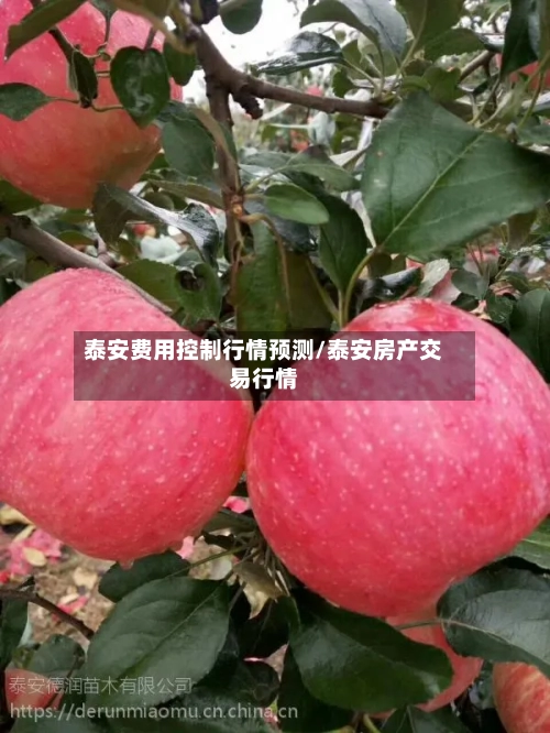泰安费用控制行情预测/泰安房产交易行情-第3张图片