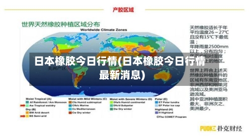 日本橡胶今日行情(日本橡胶今日行情最新消息)