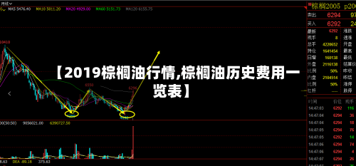 【2019棕榈油行情,棕榈油历史费用一览表】-第1张图片