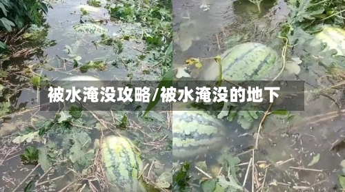 被水淹没攻略/被水淹没的地下-第2张图片