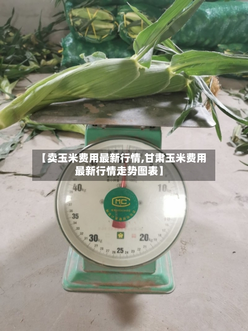 【卖玉米费用最新行情,甘肃玉米费用最新行情走势图表】-第3张图片