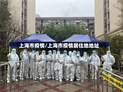 上海市疫情/上海市疫情居住地地址-第2张图片