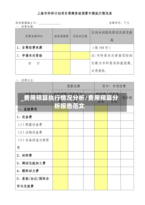_费用预算执行情况分析/费用预算分析报告范文