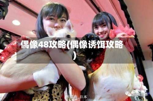 偶像48攻略(偶像诱饵攻略)-第1张图片
