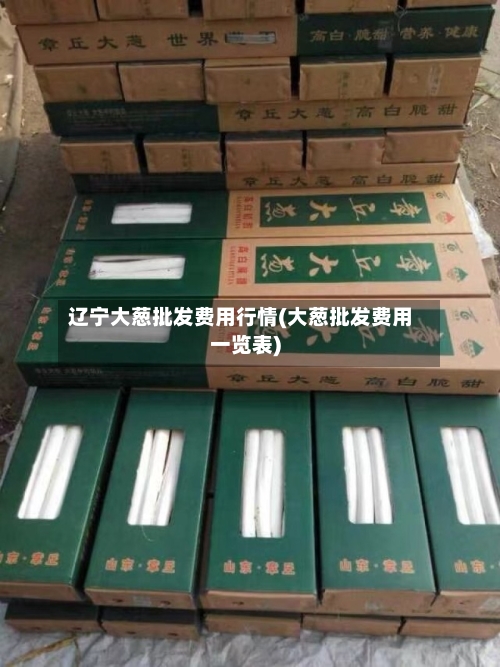 辽宁大葱批发费用行情(大葱批发费用一览表)-第1张图片