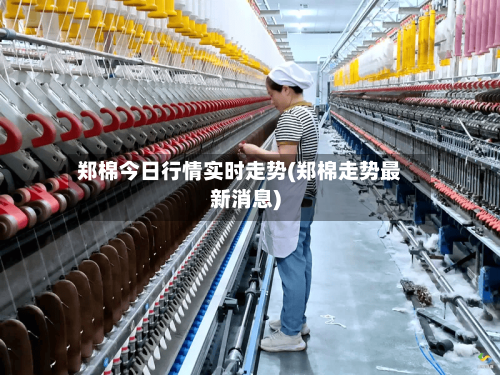 郑棉今日行情实时走势(郑棉走势最新消息)-第1张图片