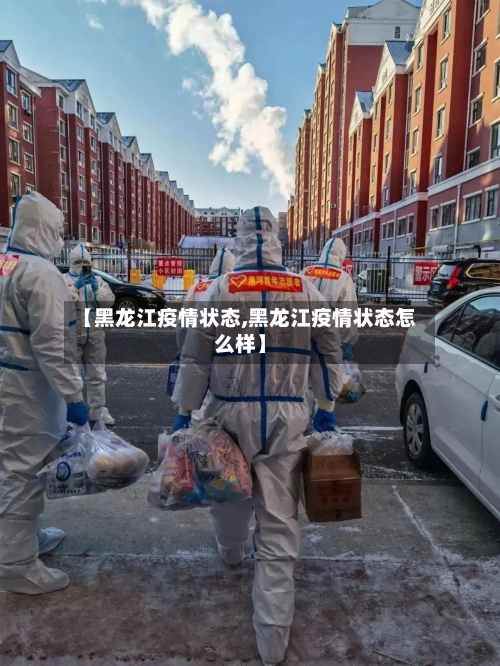 【黑龙江疫情状态,黑龙江疫情状态怎么样】-第1张图片
