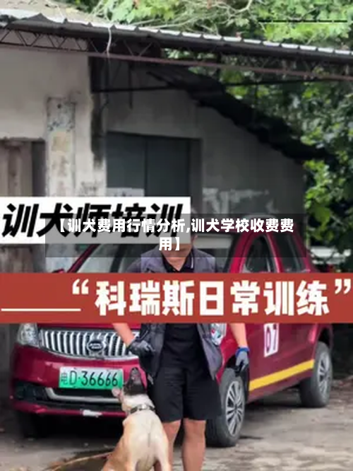 【训犬费用行情分析,训犬学校收费费用】-第1张图片