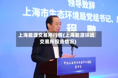 上海能源交易所行情(上海能源环境交易所投资情况)-第1张图片