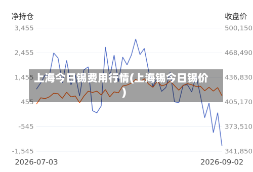 上海今日锡费用行情(上海锡今日锡价)-第1张图片
