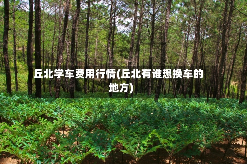 丘北学车费用行情(丘北有谁想换车的地方)-第1张图片