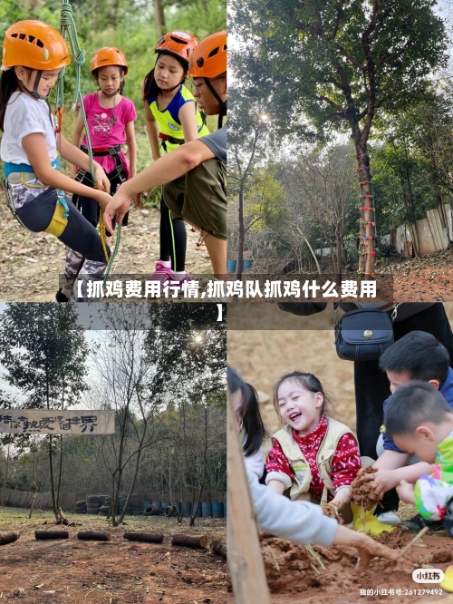 【抓鸡费用行情,抓鸡队抓鸡什么费用】-第1张图片
