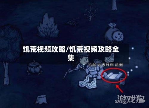 饥荒视频攻略/饥荒视频攻略全集-第1张图片