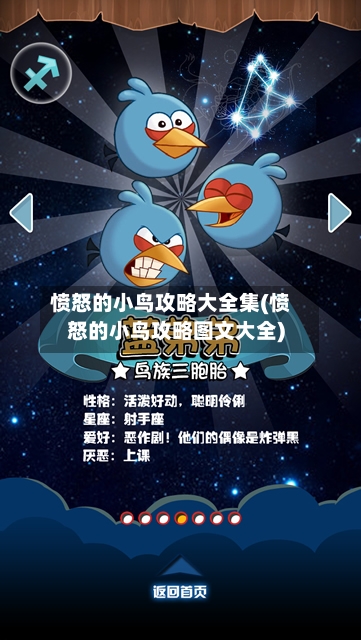愤怒的小鸟攻略大全集(愤怒的小鸟攻略图文大全)-第1张图片
