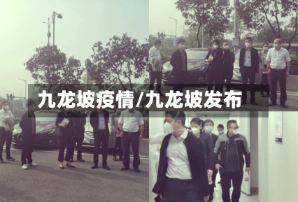 九龙坡疫情/九龙坡发布-第1张图片