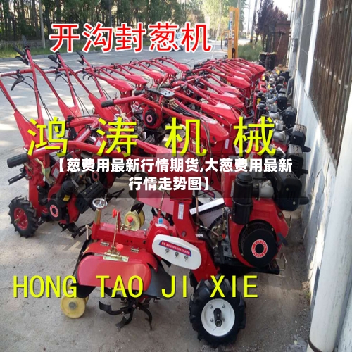 【葱费用最新行情期货,大葱费用最新行情走势图】-第1张图片