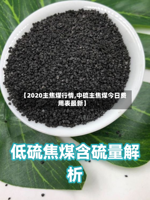 【2020主焦煤行情,中硫主焦煤今日费用表最新】-第1张图片