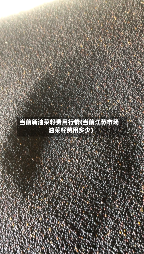 当前新油菜籽费用行情(当前江苏市场油菜籽费用多少)-第1张图片
