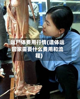 运尸体费用行情(遗体运回家需要什么费用和流程)-第1张图片
