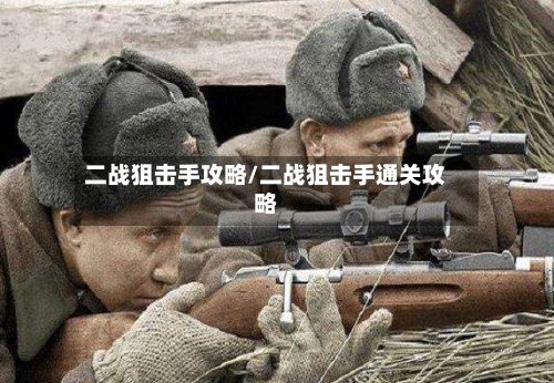 二战狙击手攻略/二战狙击手通关攻略-第1张图片