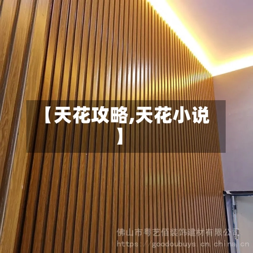 【天花攻略,天花小说】-第1张图片