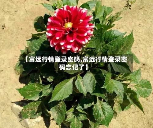 【富远行情登录密码,富远行情登录密码忘记了】-第1张图片