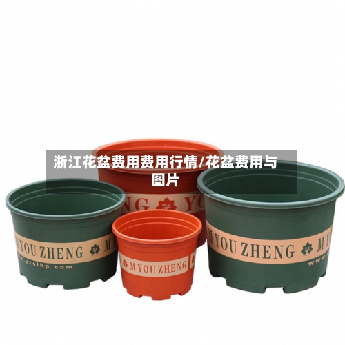 浙江花盆费用费用行情/花盆费用与图片-第1张图片