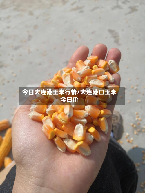 今日大连港玉米行情/大连港口玉米今日价-第1张图片