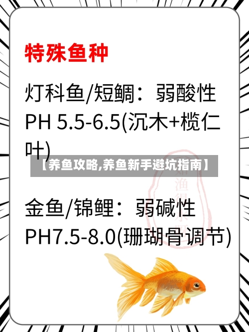 【养鱼攻略,养鱼新手避坑指南】-第1张图片